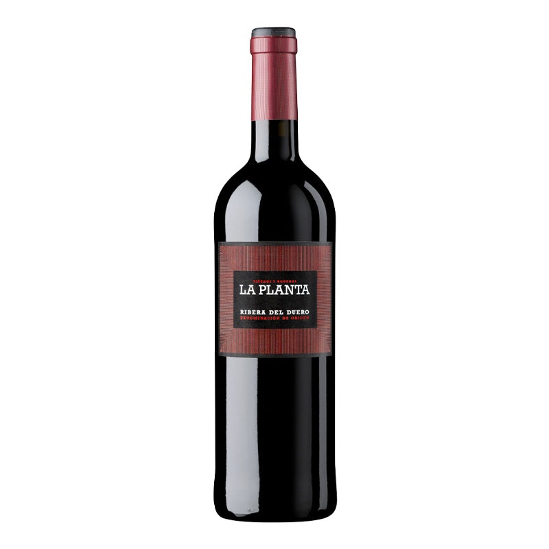 ARZUAGA LA PLANTA 2024 750ml bottle